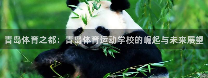 一竞技官方正版app神州：青岛体育之都：青岛体育运动