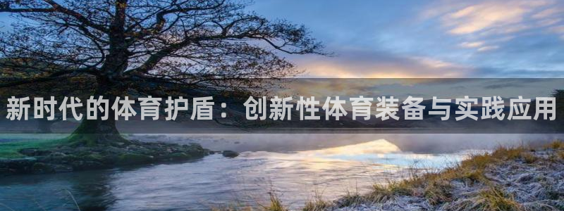 一竞技官网下载是干嘛的公司：新时代的体育护盾：创新性