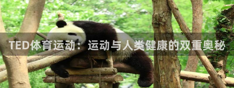 一竞技官方正版app开户：TED体育运动：运动与人类