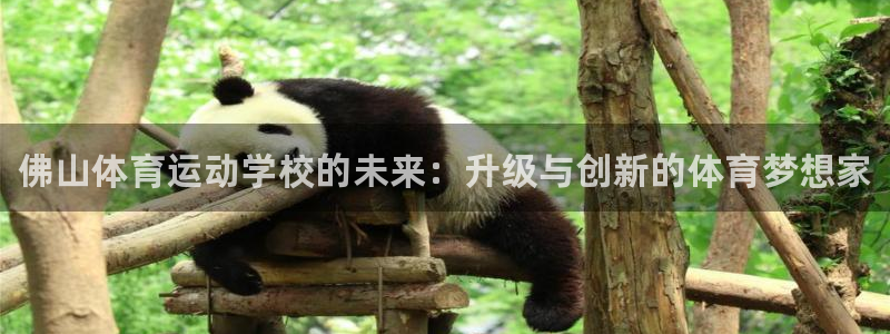 一竞技官网下载平台注册要钱吗安全吗：佛山体育运动学校
