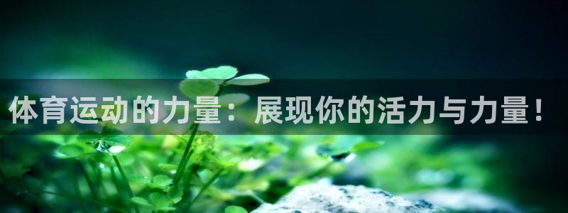 一竞技官网下载联系电话：体育运动的力量：展现你的活力