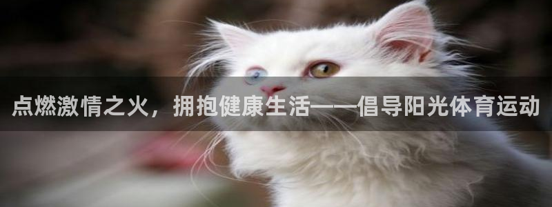 一竞技官方正版app娱乐代理怎么样：点燃激情之火，拥