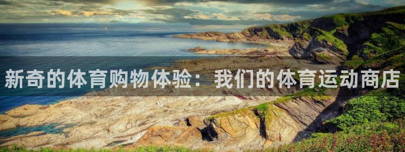 注册一竞技官方正版app：新奇的体育购物体验：我们的体育运动