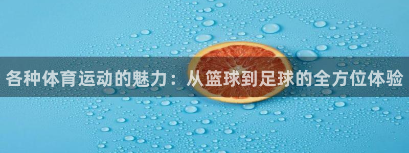 一竞技官方正版app集团简介：各种体育运动的魅力：从