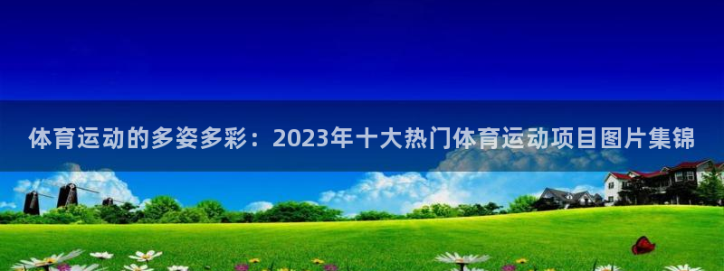 一竞技官网下载招商电话：体育运动的多姿多彩：2023