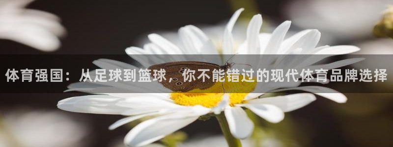 一竞技官网下载平台假的吗是真的吗吗：体育强国：从足球