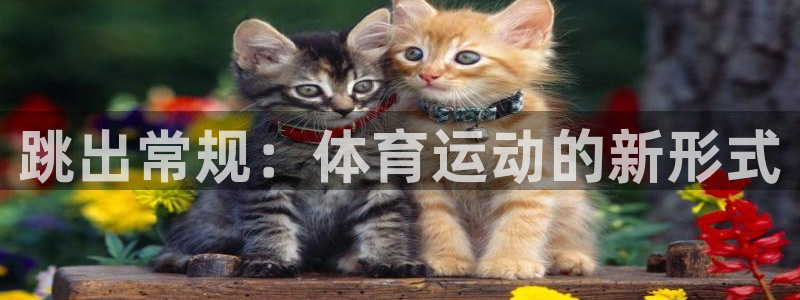 一竞技官方正版app集团：跳出常规：体育运动的新形式