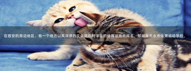 一竞技官网下载平台是正规平台吗安全吗：在西安的周边地