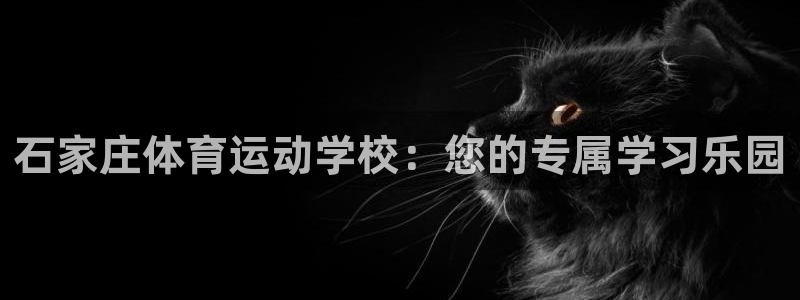 一竞技官网下载平台是正规平台吗安全吗：石家庄体育运动