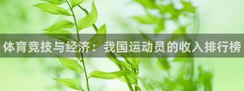 一竞技官网下载平台假的吗是真的吗吗：体育竞技与经济：