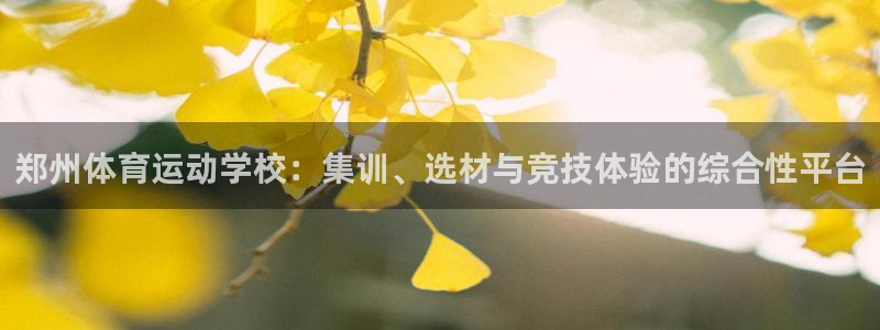 一竞技官网网页版：郑州体育运动学校：