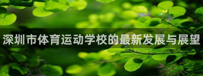 一竞技官网测试