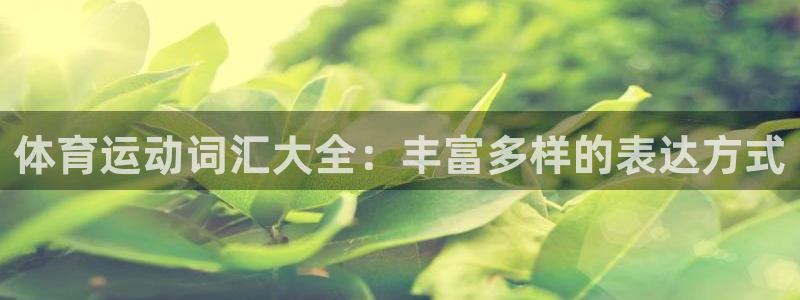 一竞技平台可以借钱吗：体育运动词汇大全：丰富多样的表达方式