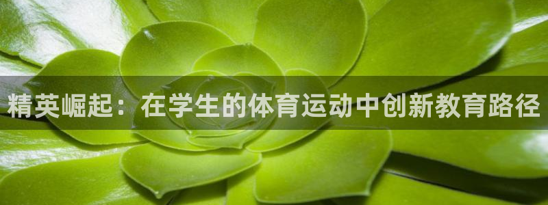 一竞技app下载：精英崛起：在学生的体育运动中创新教育路径