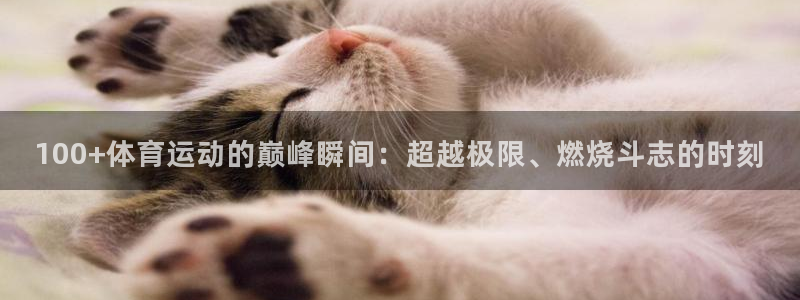 一竞技官网下载安装：100+体育运动的巅峰瞬间：超越极限、燃