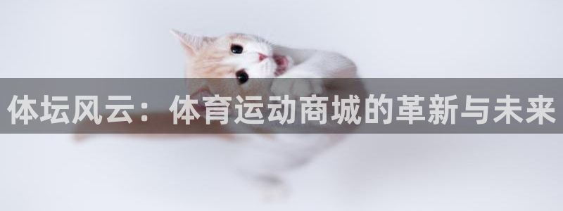 一竞技测速网站填什么：体坛风云：体育