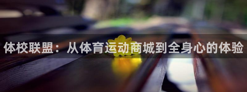 一竞技客服：体校联盟：从体育运动商城
