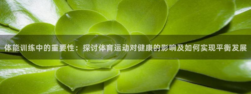 一竞技平台提现不出：体能训练中的重要