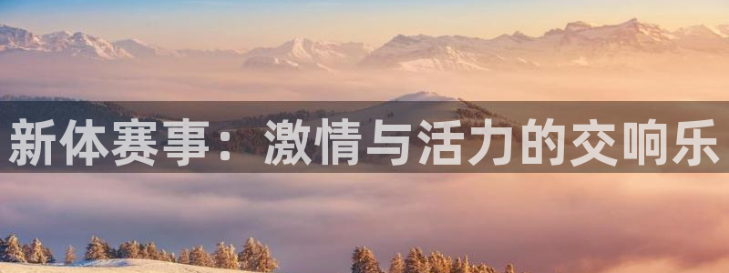  一竞技官网游戏平台：新体赛事：激情与活力的交响乐