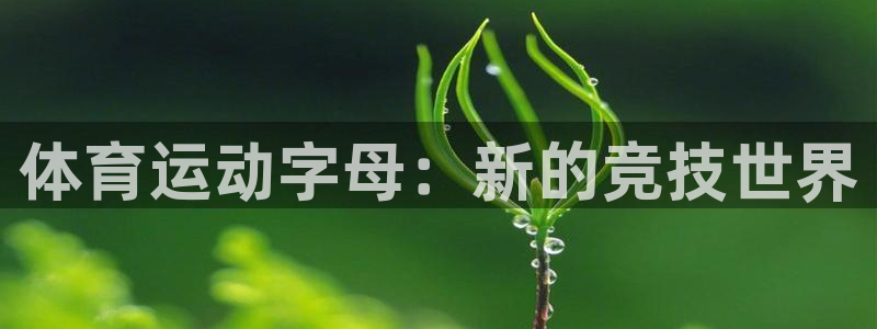 一竞技app官方入口：体育运动字母：新的竞技世界