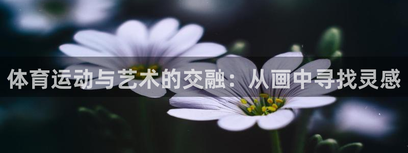 一竞技官网登录方式：体育运动与艺术的