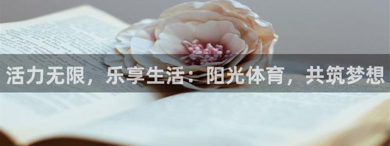 一竞技平台：活力无限，乐享生活：阳光