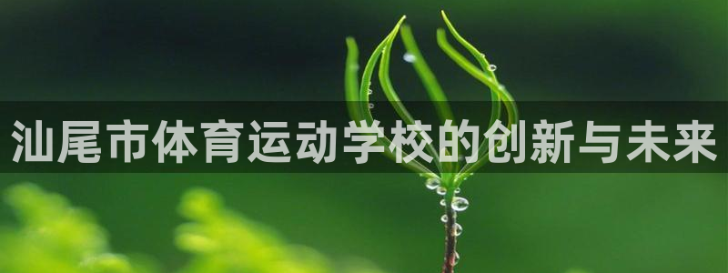 一竞技官网：汕尾市体育运动学校的创新
