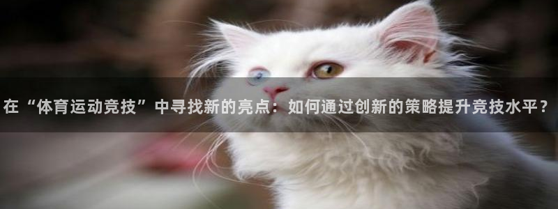一竞技官网导航,一竞技测速站：在“体